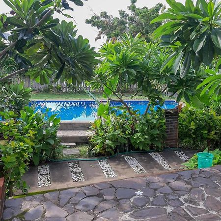 Oyo 3070 Villa Lovina Eco Lodge 외부 사진