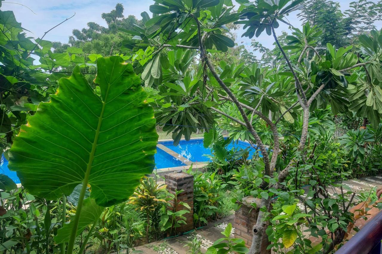 Oyo 3070 Villa Lovina Eco Lodge 외부 사진